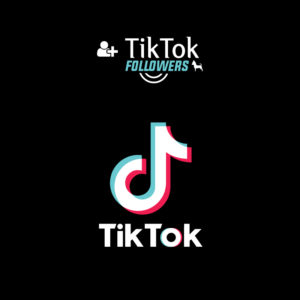 Followers TikTok (Internazionali)