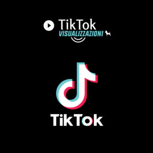 Visualizzazioni Video TikTok (Internazionali)